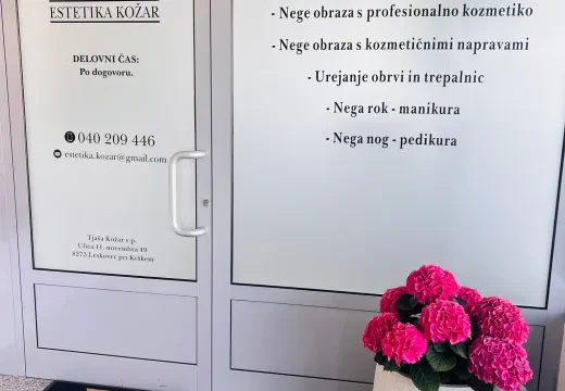 Vhod Estetike Kožar